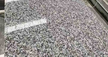 湖北 芙蓉白光面