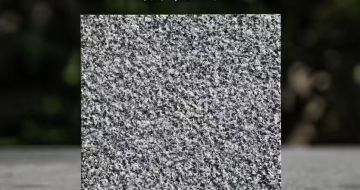 湖北 芝麻黑荔枝面