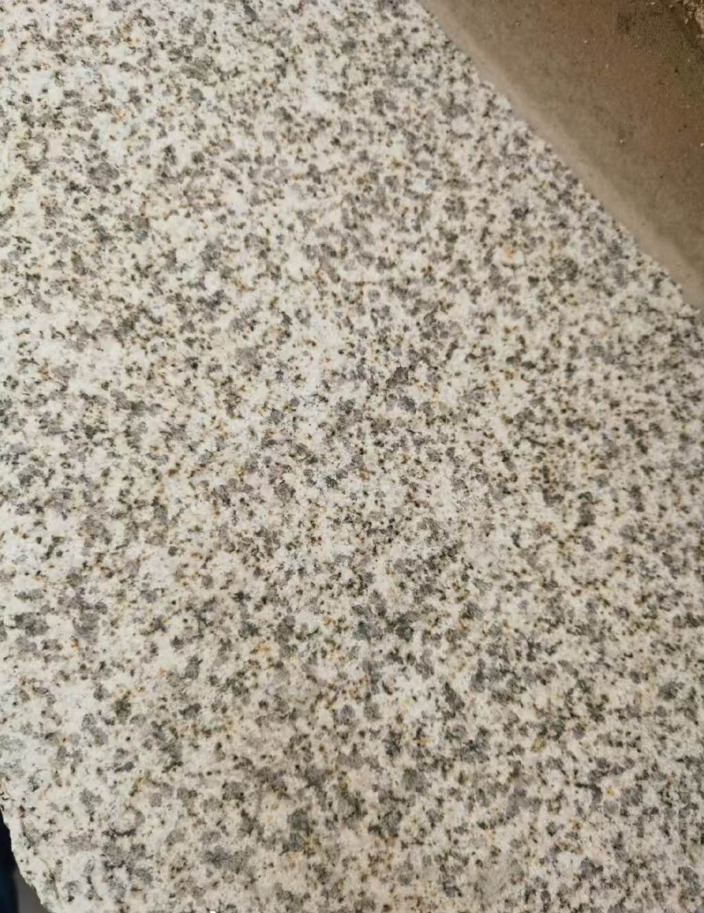 湖北 黄金麻中黄光面