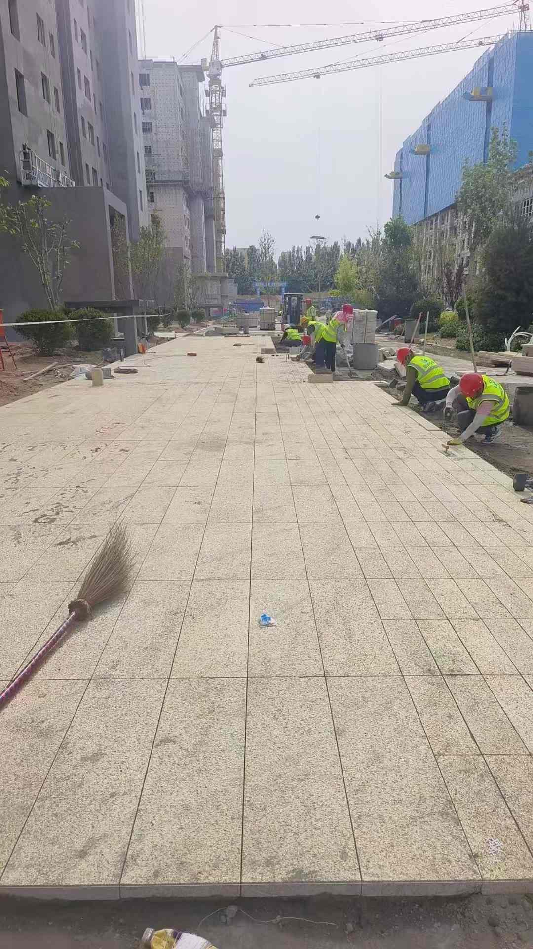 湖北黄金麻荔枝面地铺案例