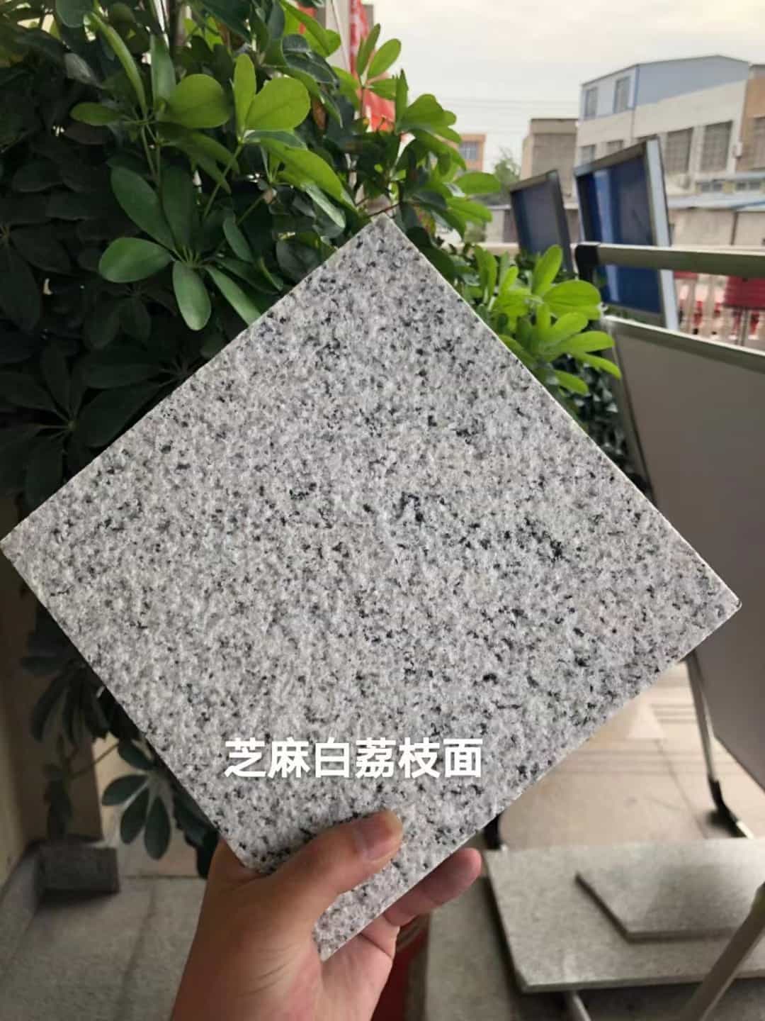 湖北 芝麻白荔枝面干挂